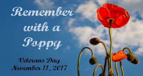 Celebrate Veterans Day And Remember With A Poppy At The National World ...