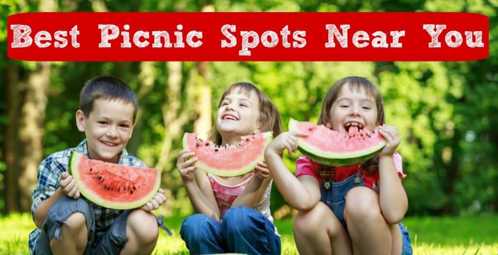 Best Picnic Spots in Kansas City for Kids