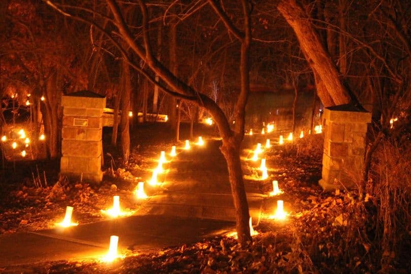 This image has an empty alt attribute; its file name is Holiday-Luminary-Walk-at-OP-Arboretum.jpg