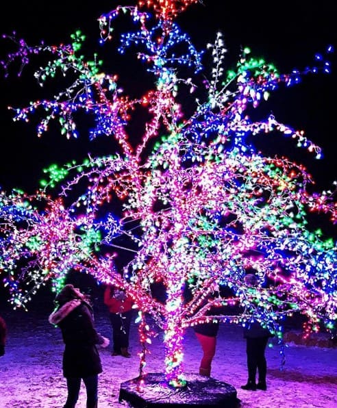 This image has an empty alt attribute; its file name is Lees-Summit-Magic-Tree-Holiday-Lights.png